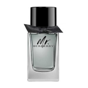 Burberry Mr Burberry EDT For Men - 100ml