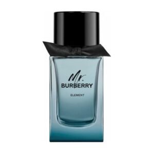 Burberry Mr Burberry Element EDT For ...