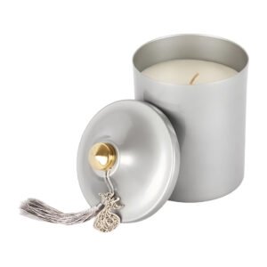 Candle Connection Coconut & Lime Silver Scented Pyramid Candle Cup