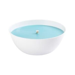 Candle Connection Small Lemon Scented Mosquito and Flying Insect Repellant Citronella Candle