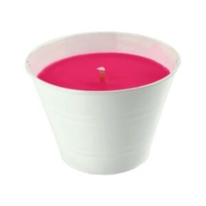 Candle Connection Small Lemon Scented Mosquito and Flying Insect Repellant Citronella Candle Bucket